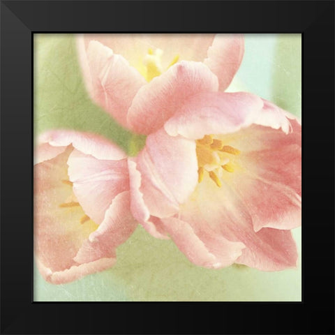 Resplendent Pink Blossoms Square Black Modern Wood Framed Art Print by Gardner, Sarah