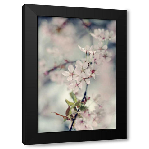 A Branch of Beauty Vertical Black Modern Wood Framed Art Print with Double Matting by Gardner, Sarah