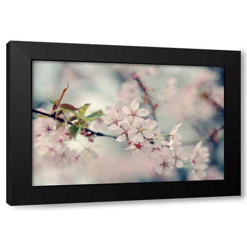 A Branch of Beauty Black Modern Wood Framed Art Print by Gardner, Sarah