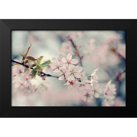 A Branch of Beauty Black Modern Wood Framed Art Print by Gardner, Sarah