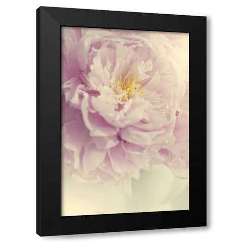Angelic Petals Black Modern Wood Framed Art Print by Gardner, Sarah
