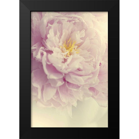 Angelic Petals Black Modern Wood Framed Art Print by Gardner, Sarah