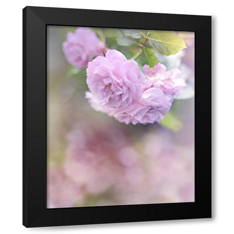 Graceful Floral Black Modern Wood Framed Art Print by Gardner, Sarah