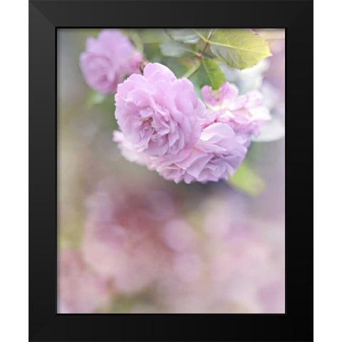 Graceful Floral Black Modern Wood Framed Art Print by Gardner, Sarah