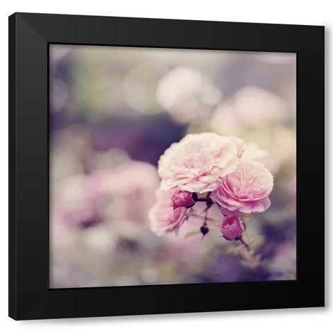 In the Garden Black Modern Wood Framed Art Print by Gardner, Sarah