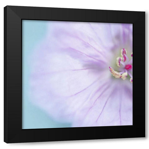 The Heart of a Flower Square Black Modern Wood Framed Art Print with Double Matting by Gardner, Sarah