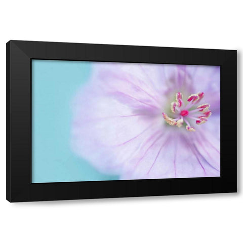 The Heart of a Flower Black Modern Wood Framed Art Print by Gardner, Sarah