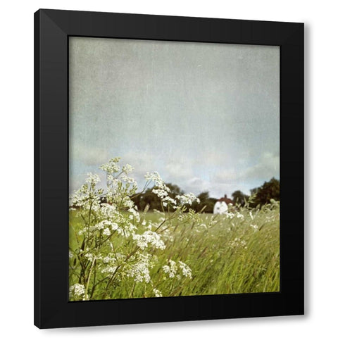 In the Pasture Black Modern Wood Framed Art Print with Double Matting by Gardner, Sarah