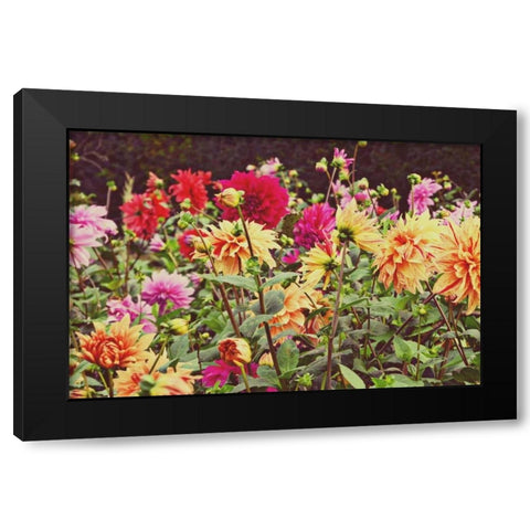 New Garden Black Modern Wood Framed Art Print by Peck, Gail