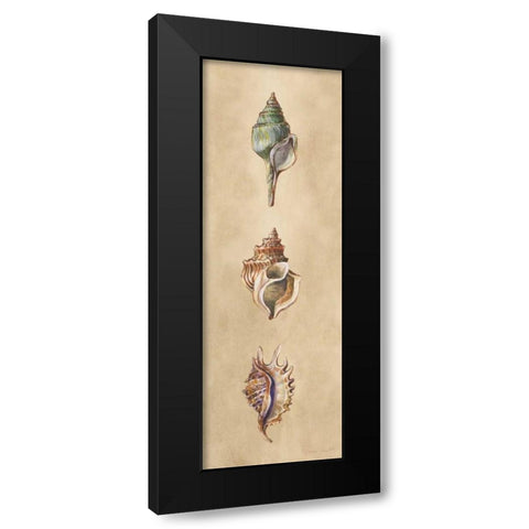 Seashells Panel I Black Modern Wood Framed Art Print with Double Matting by Loreth, Lanie