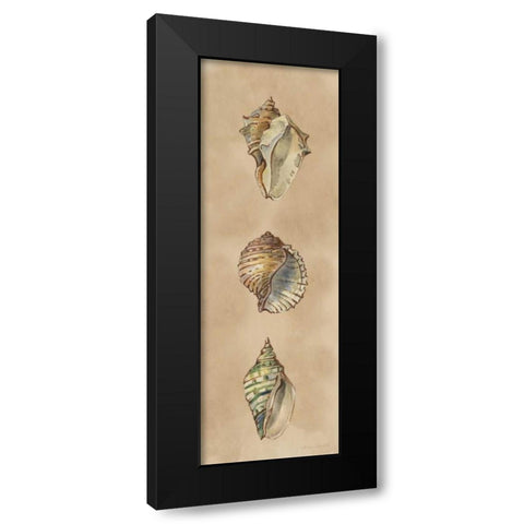 Seashells Panel II Black Modern Wood Framed Art Print with Double Matting by Loreth, Lanie