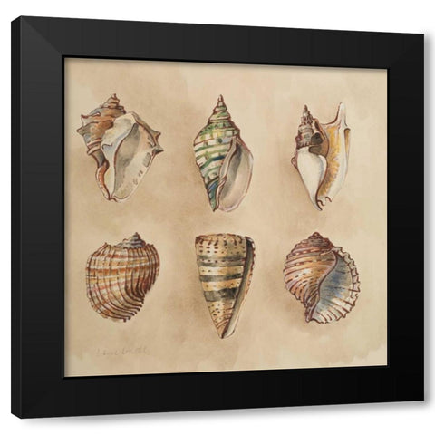 Seashells II Black Modern Wood Framed Art Print with Double Matting by Loreth, Lanie