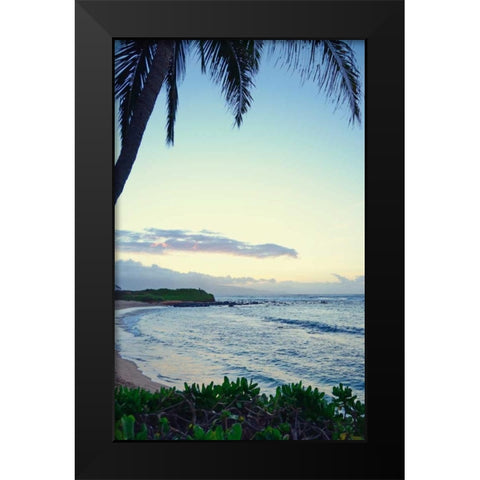 Under the Palm Black Modern Wood Framed Art Print by Nawrocke, Bruce