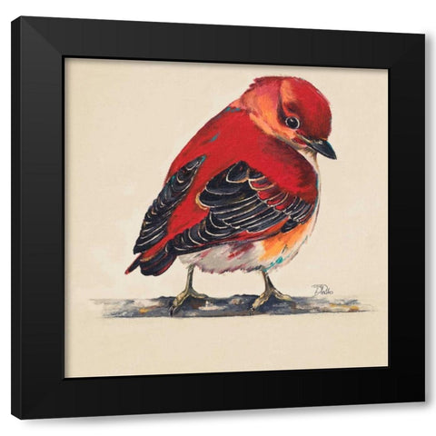 Baby Red Bird I Black Modern Wood Framed Art Print by Pinto, Patricia