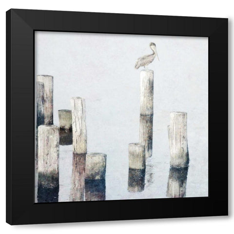 Perched Pelican Black Modern Wood Framed Art Print with Double Matting by Nawrocke, Bruce