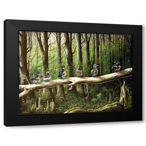 Pairing Up Black Modern Wood Framed Art Print by Nawrocke, Bruce
