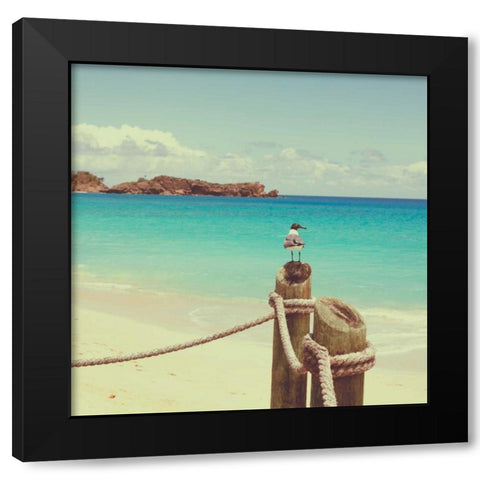 Island Vacation II Black Modern Wood Framed Art Print with Double Matting by Bryant, Susan
