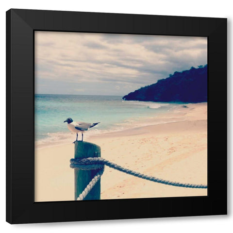 Island Vacation III Black Modern Wood Framed Art Print with Double Matting by Bryant, Susan
