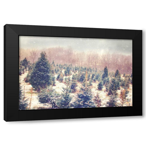 Natures Beauty Black Modern Wood Framed Art Print by Poynter, Kelly