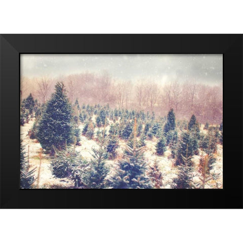 Natures Beauty Black Modern Wood Framed Art Print by Poynter, Kelly