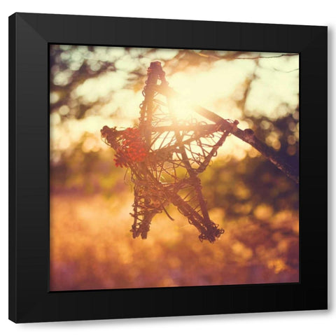 Morning Star Black Modern Wood Framed Art Print with Double Matting by Poynter, Kelly