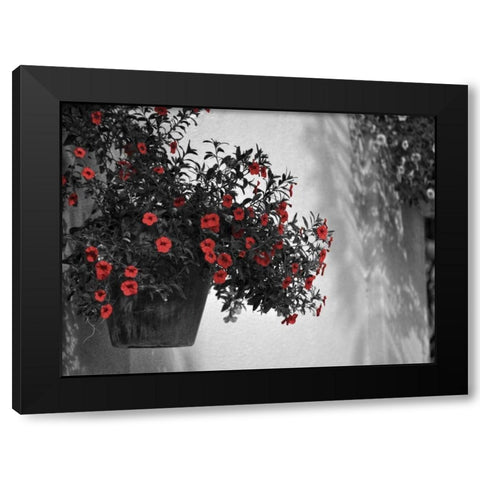 Garden Areas Border I Black Modern Wood Framed Art Print by Peck, Gail