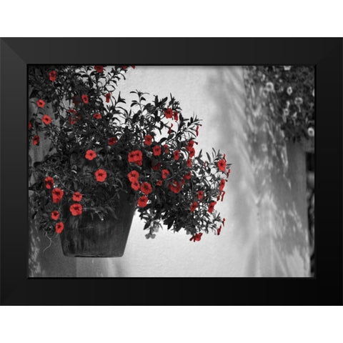 Garden Areas Border I Black Modern Wood Framed Art Print by Peck, Gail