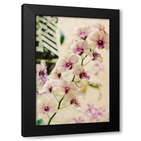Filter Flowers I Black Modern Wood Framed Art Print with Double Matting by Peck, Gail