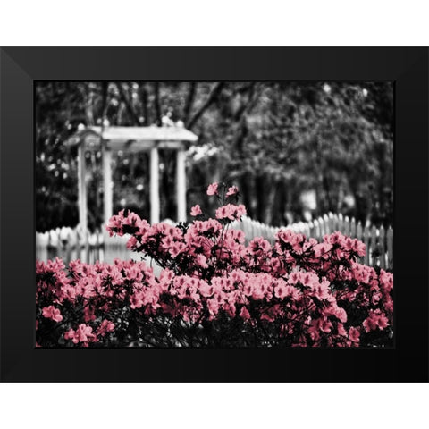 Garden Areas Border II Black Modern Wood Framed Art Print by Peck, Gail