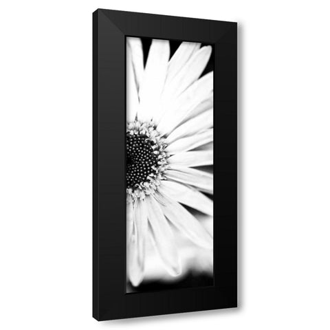 White Bloom I Black Modern Wood Framed Art Print with Double Matting by Bryant, Susan