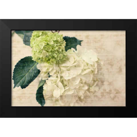 Hydrangeas I Black Modern Wood Framed Art Print by Bryant, Susan