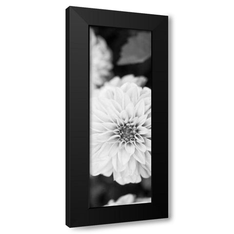 White Bloom II Black Modern Wood Framed Art Print by Bryant, Susan