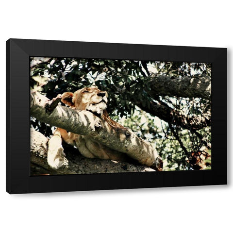 Lion Tree Black Modern Wood Framed Art Print by Bryant, Susan