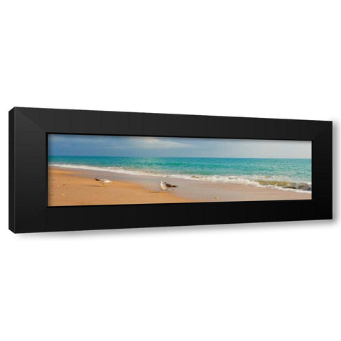 Island Memories I Black Modern Wood Framed Art Print with Double Matting by Bryant, Susan