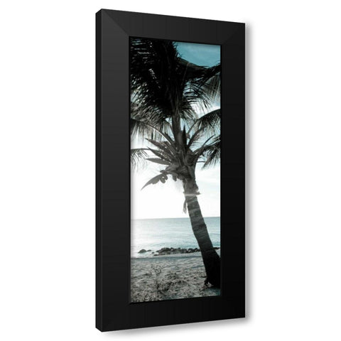 Cool Bimini Palm I Black Modern Wood Framed Art Print by Bryant, Susan