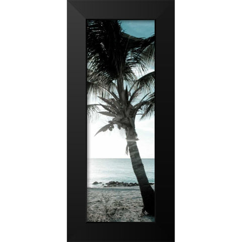 Cool Bimini Palm I Black Modern Wood Framed Art Print by Bryant, Susan