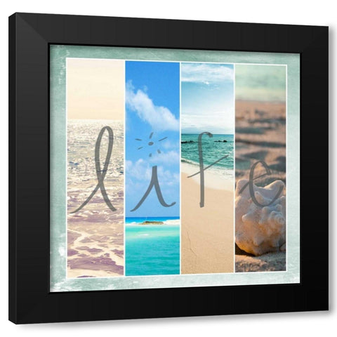 Sea Life Black Modern Wood Framed Art Print with Double Matting by Bryant, Susan