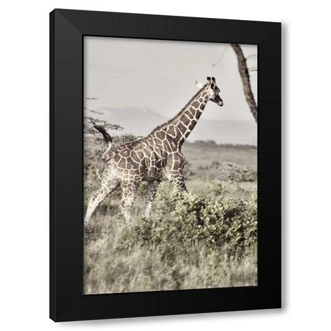 Sepia Giraffe Black Modern Wood Framed Art Print by Bryant, Susan