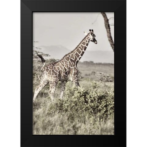 Sepia Giraffe Black Modern Wood Framed Art Print by Bryant, Susan