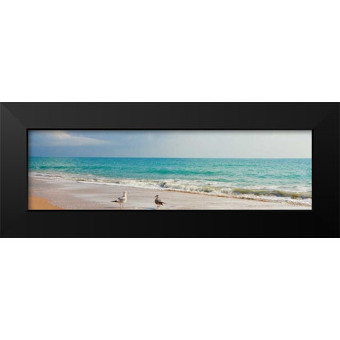 Island Memories II Black Modern Wood Framed Art Print by Bryant, Susan