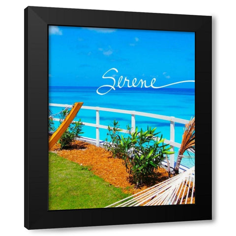 Serene Black Modern Wood Framed Art Print with Double Matting by Bryant, Susan