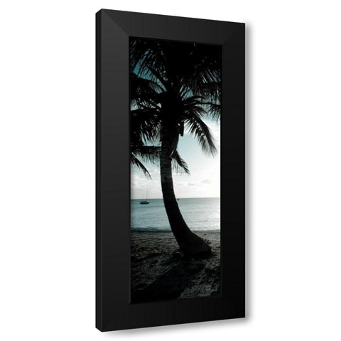 Cool Bimini Palm II Black Modern Wood Framed Art Print with Double Matting by Bryant, Susan