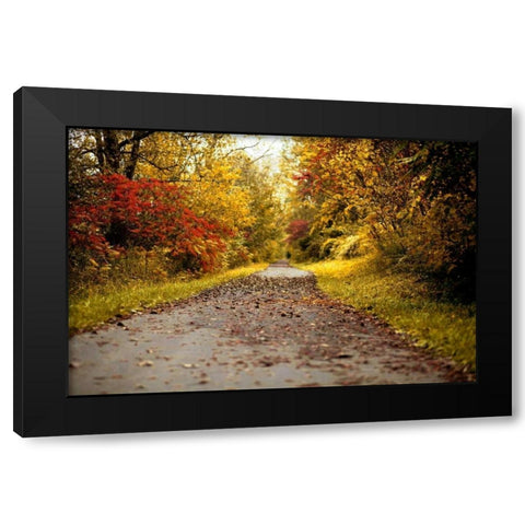 Quiet Autumn Path Black Modern Wood Framed Art Print with Double Matting by Poynter, Kelly