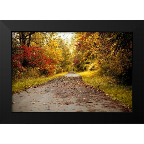 Quiet Autumn Path Black Modern Wood Framed Art Print by Poynter, Kelly