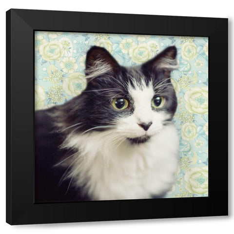 Cat on Paisley Black Modern Wood Framed Art Print by Metz, Andi