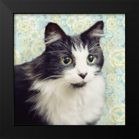 Cat on Paisley Black Modern Wood Framed Art Print by Metz, Andi