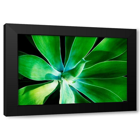 Green Intrigue Black Modern Wood Framed Art Print with Double Matting by Nawrocke, Bruce