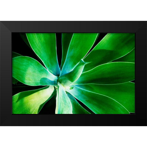 Green Intrigue Black Modern Wood Framed Art Print by Nawrocke, Bruce