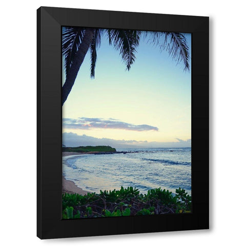 Sunrise In Paradise Black Modern Wood Framed Art Print by Nawrocke, Bruce