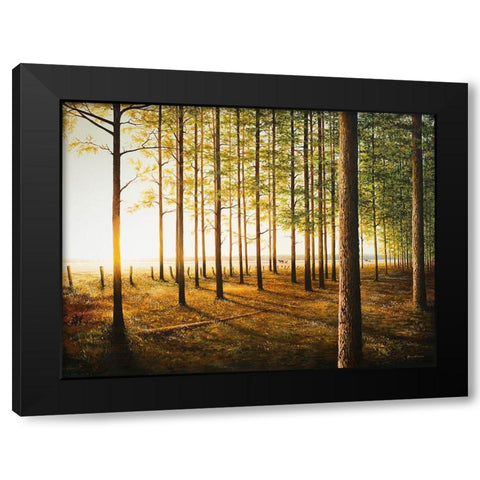 Sunrise In The Woods Black Modern Wood Framed Art Print with Double Matting by Nawrocke, Bruce